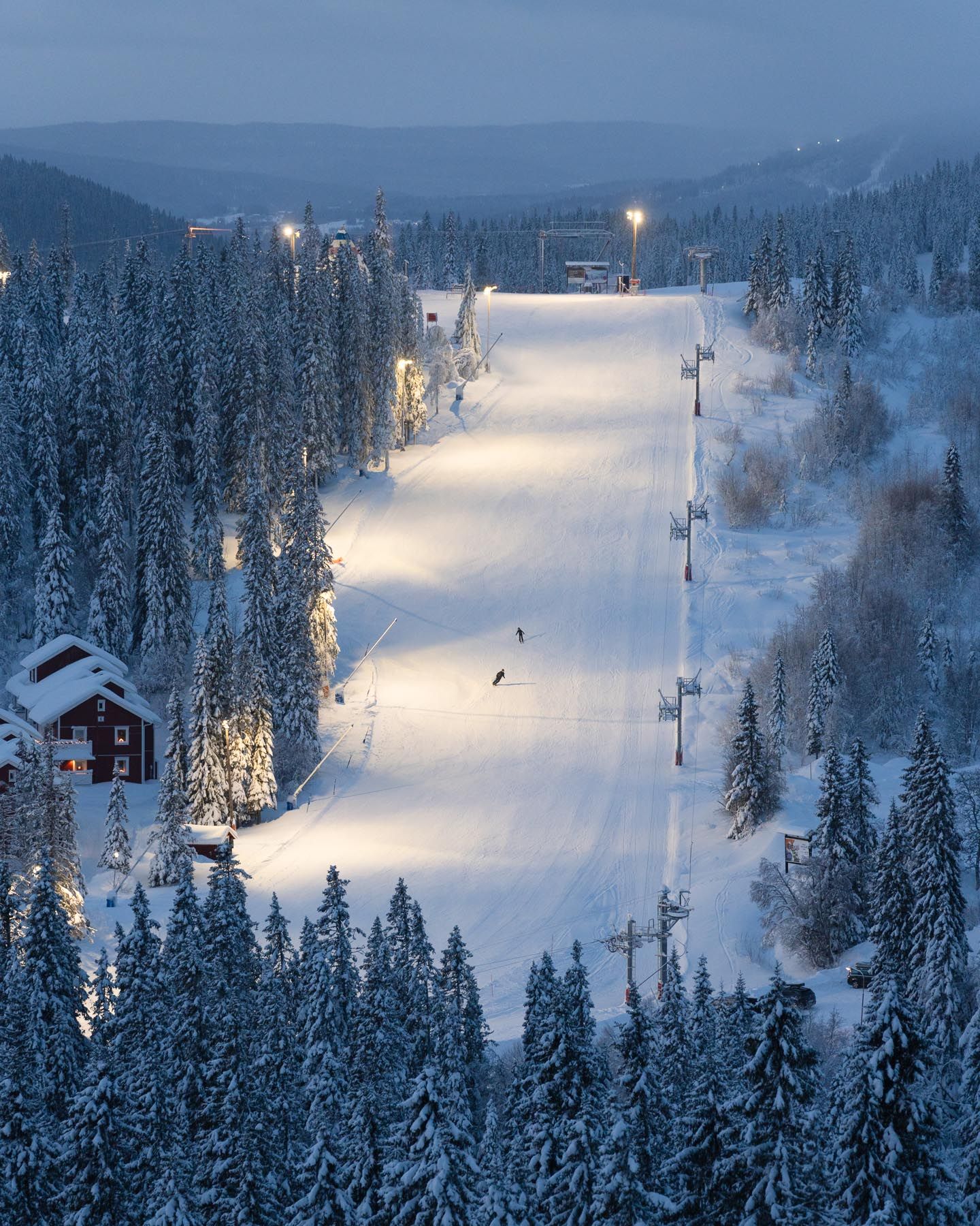 Upplyst backe genom snötäckt granskog i Åre Björnen