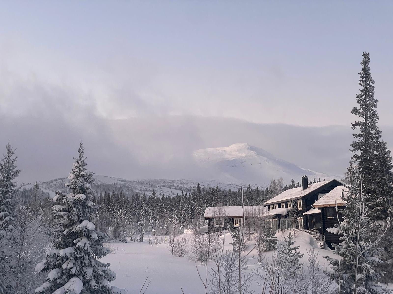 Vinter & omgivning