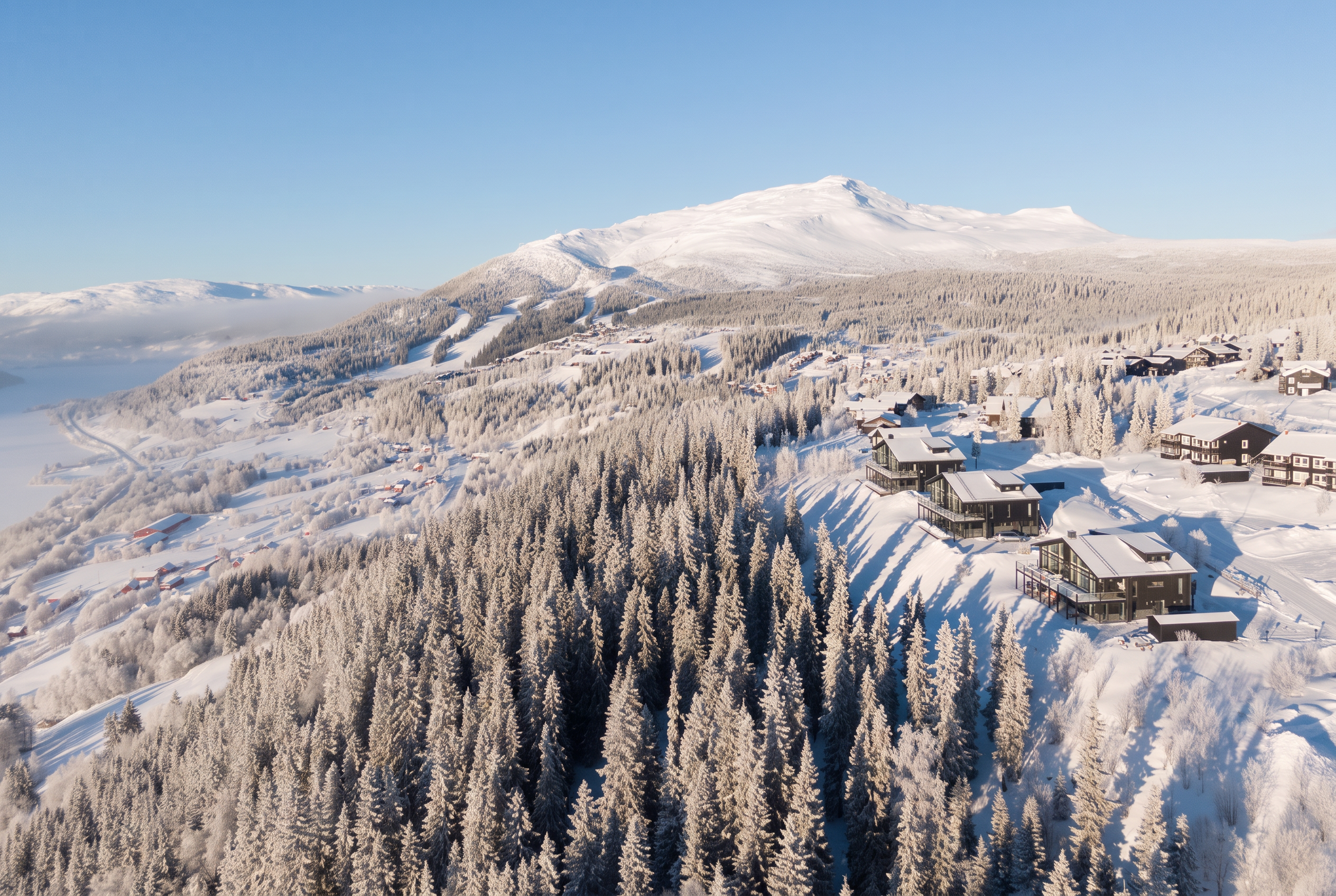 Björnen en vinterkväll